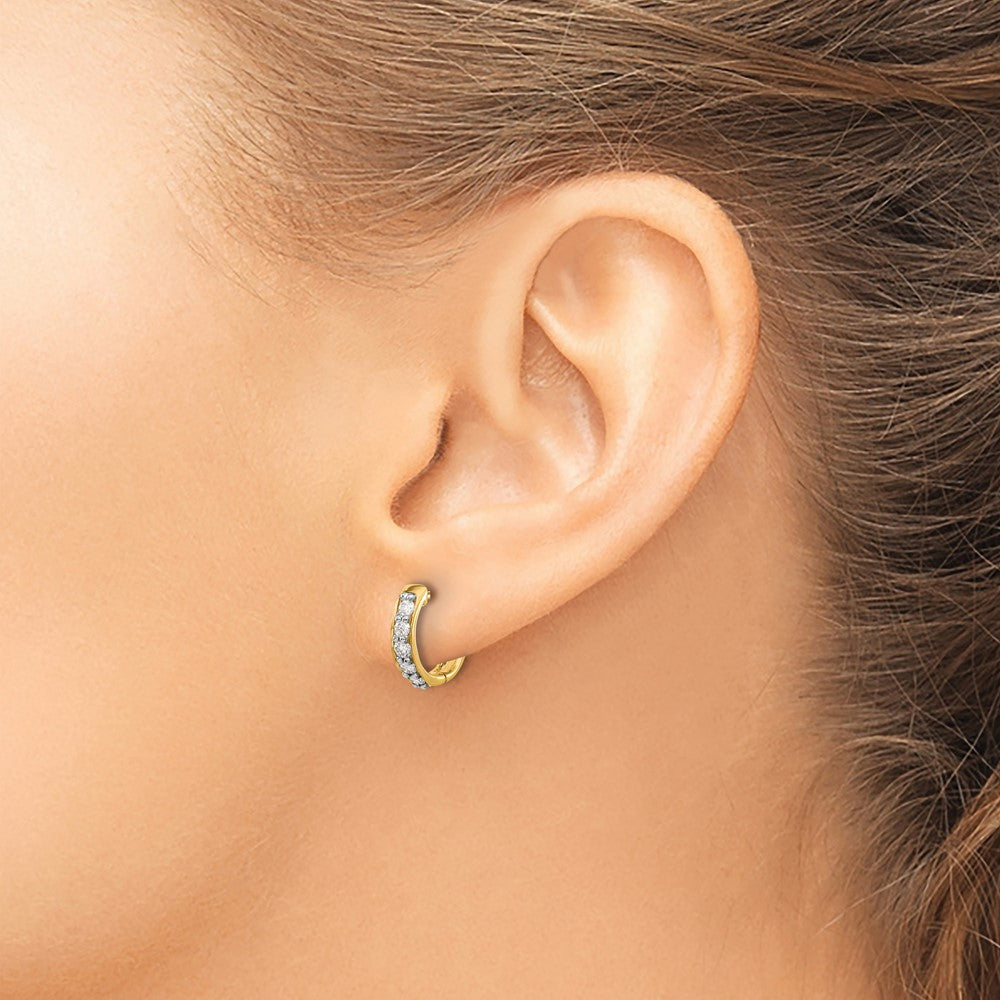 LGYE 14k 1/3 carat Lab Grown Diamond VS/SI+ G+ Complete Hinged Hoop Earrings