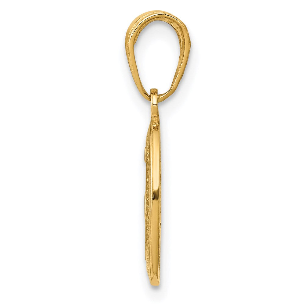 GCM 14k Polished and Satin Solid Miraculous Medal Oval Charm