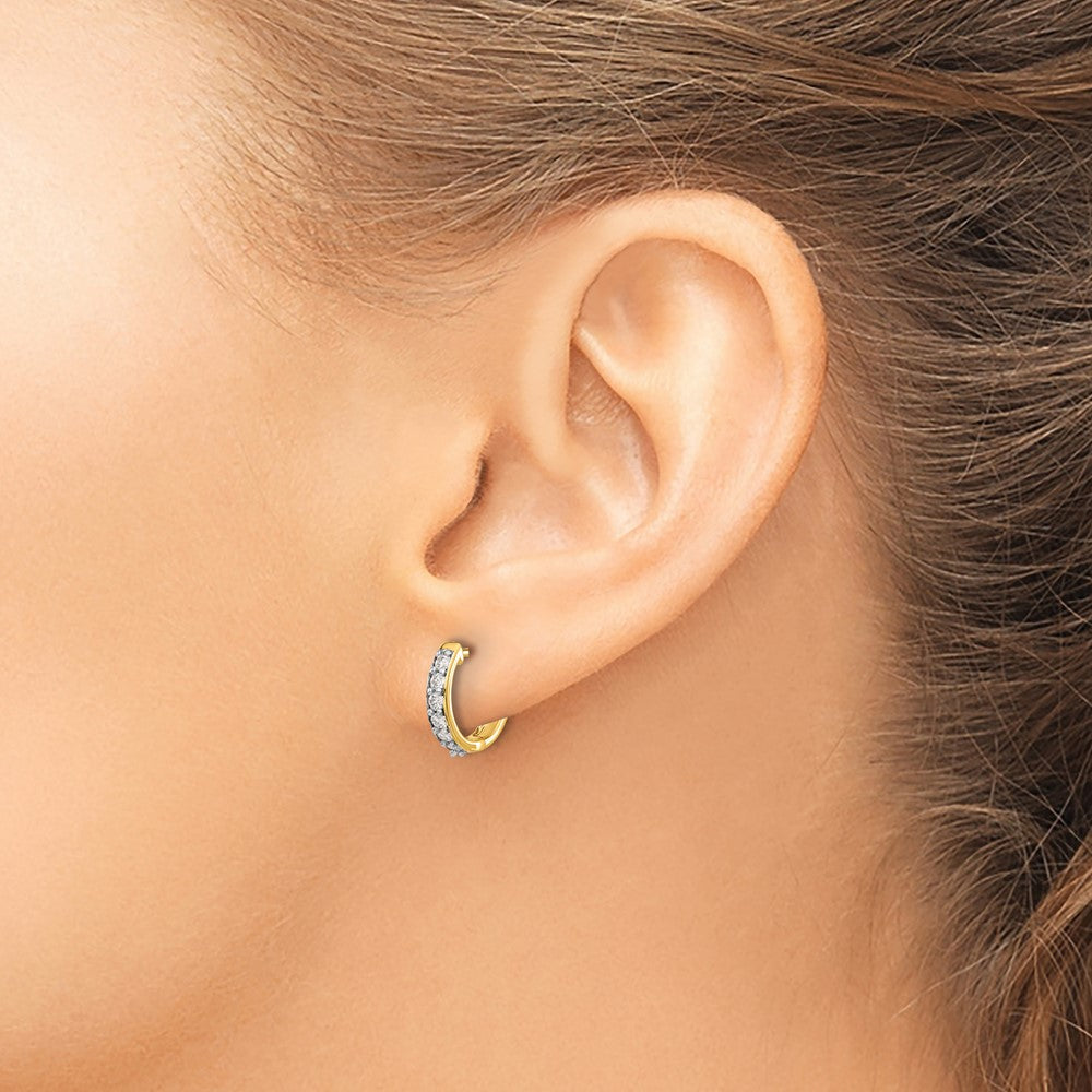 LGGE 14k 1/4 carat Lab Grown Diamond VS/SI+ G+ Complete Hinged Hoop Earrings