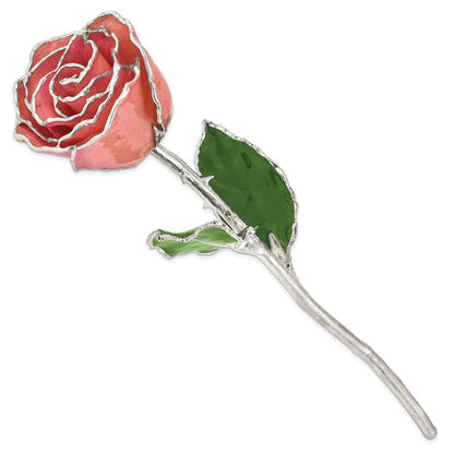 SR Pink Lacquer Dipped Silver Trimmed Real Rose