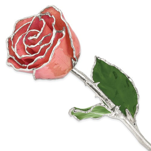 SR Pink Lacquer Dipped Silver Trimmed Real Rose