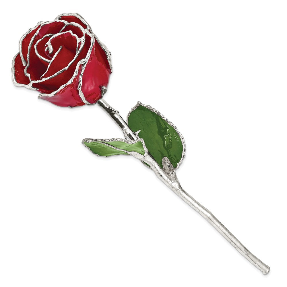 SR Red Lacquer Dipped Silver Trimmed Real Rose