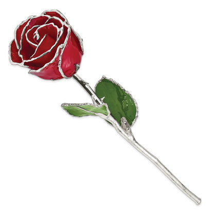 SR Red Lacquer Dipped Silver Trimmed Real Rose