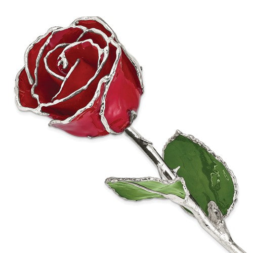 SR Red Lacquer Dipped Silver Trimmed Real Rose