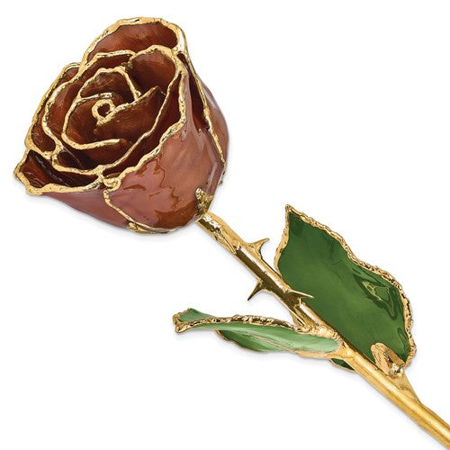 GR Lacquer Dipped Gold Trimmed Cinnamon Pearl Real Rose
