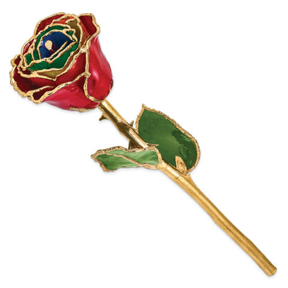 GR Lacquer Dipped Gold Trimmed Gypsy Rainbow Real Rose