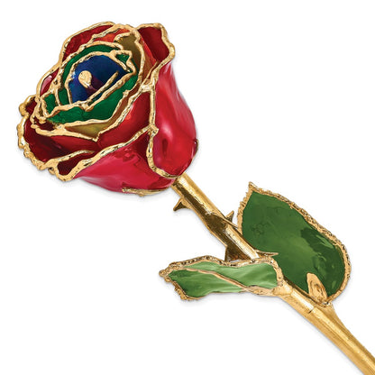 GR Lacquer Dipped Gold Trimmed Gypsy Rainbow Real Rose
