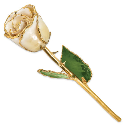 GR Lacquer Dipped Gold Trimmedmed Cream/White Real Rose