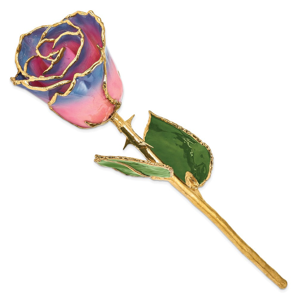 GR Lacquer Dipped Gold Trimmedmed Pink/Navy Real Rose