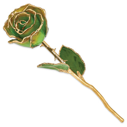 GR Lacquer Dipped Gold Trimmedmed Peridot/Orange Real Rose