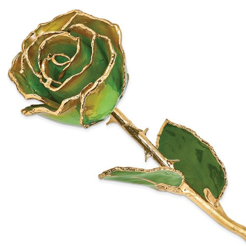 GR Lacquer Dipped Gold Trimmedmed Peridot/Orange Real Rose