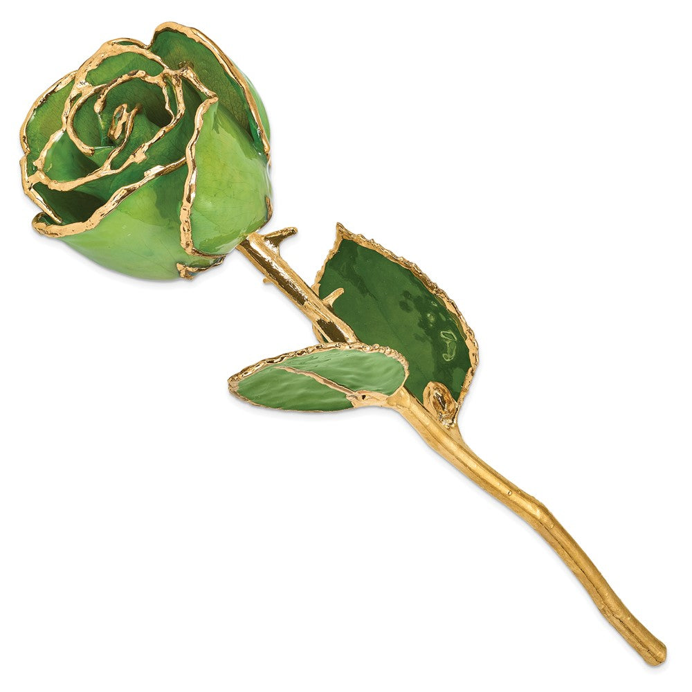 GR Lacquer Dipped Gold Trimmedmed Peridot/Topaz Real Rose
