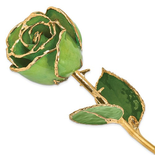 GR Lacquer Dipped Gold Trimmedmed Peridot/Topaz Real Rose