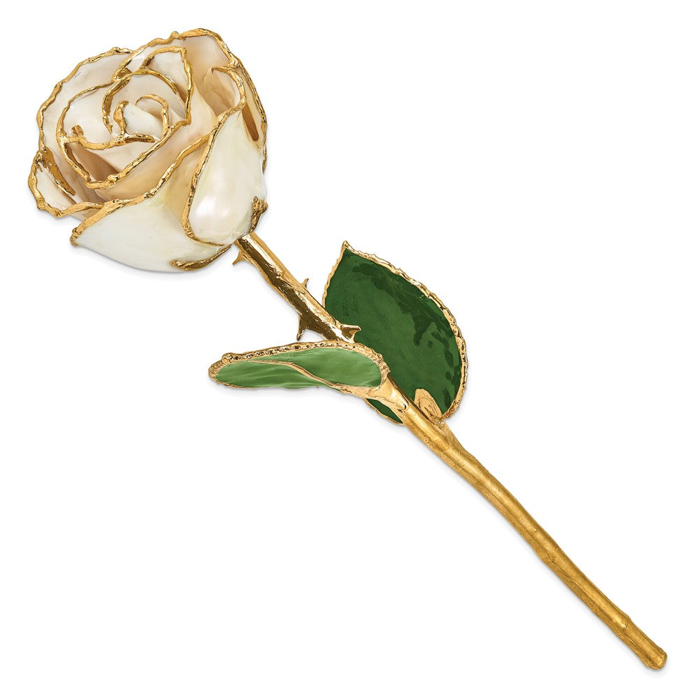 GR Lacquer Dipped Gold Trimmed White Satin Real Rose