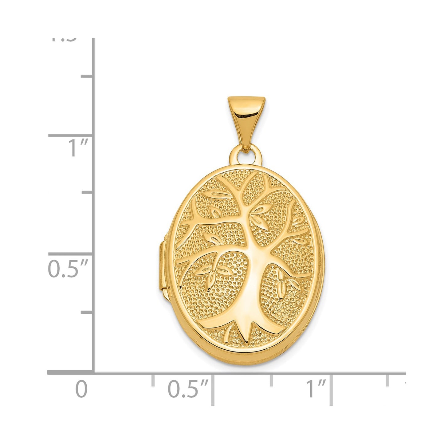 14ky 21x16mm Oval Tree Locket