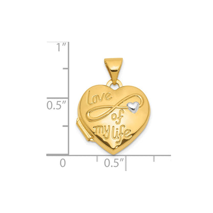 14K and White Rhodium Polished LOVE OF MY LIFE 15mm Heart Locket